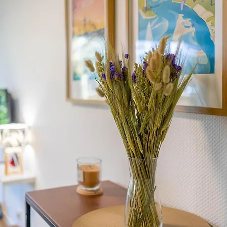 Daire Cosy Et Terrasse En Mérignac